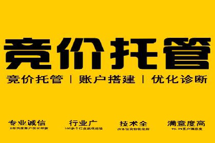 某企业利用竞价SEM提升网站流量及转化率的经验分享